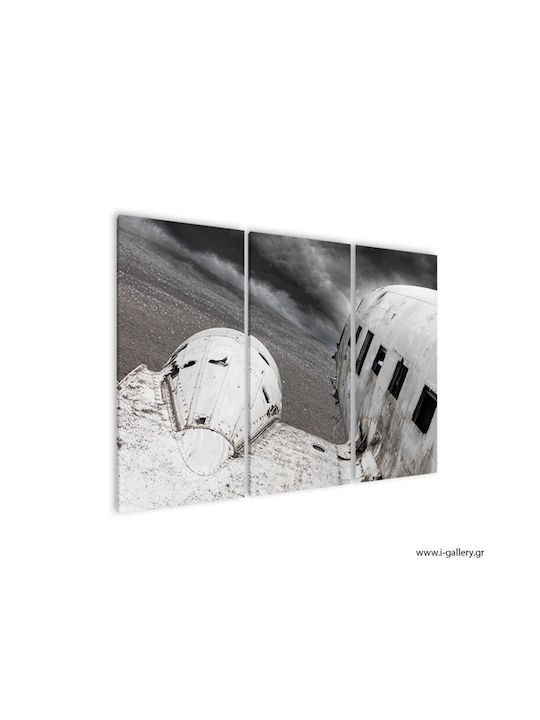 I-gallery Old Crashed Plane Threefold Painting on Canvas 70x50cm