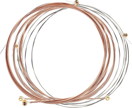 Adamas Set of Phosphor Bronze Strings for Lute Nuova Coated 14 - 30"