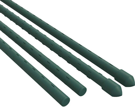 vidaXL Βέργες Στήριξης Φυτών 11mmx180cm από Ατσάλι Σετ 30τμχ