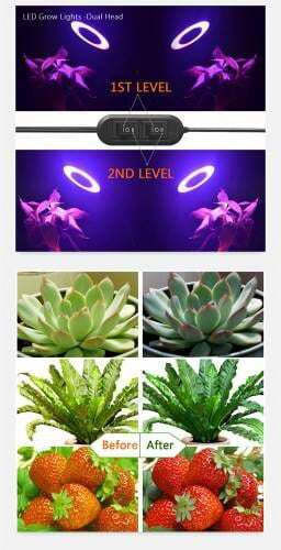 Desk Grow Light with LED