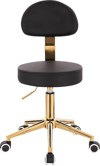 Salon Stools Wheeled Stool with Backrest Black ΧΡΥΣΌ-5420187