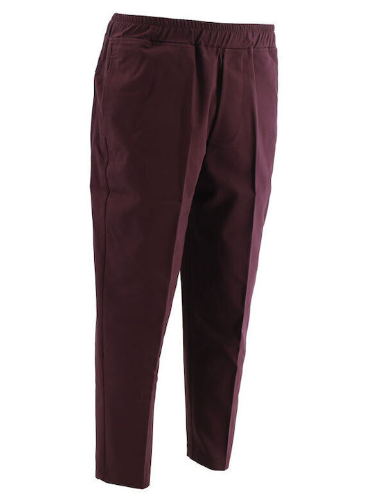 Japan Hose Burgundisch