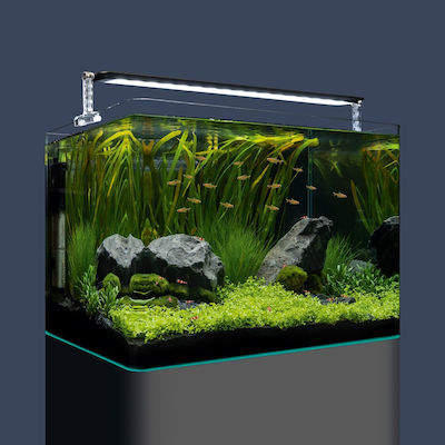 Dennerle Nano Tank Plant Pro Aquarium mit einer Kapazität von 70Es mit Beleuchtung und 50cm. Beige