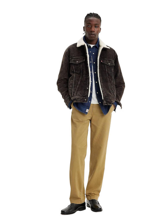 Xx Παντελόνι Chino Beige.