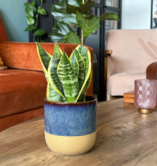 Polnix Vintage Plant Pot Ceramic Blue
