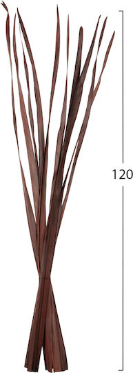 Dried Brown Plant 10 Pieces HomeMarkt Dried Brown Plant 10 Pieces HomeMarkt
