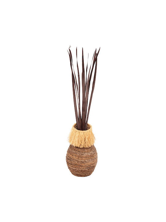 Plantă Uscată Brown 10buc HomeMarkt