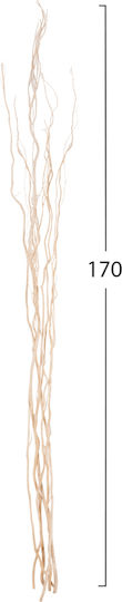 Dried Willow Plant Ecru 5 Pieces HomeMarkt Dried Willow Plant Ecru 5 Pieces HomeMarkt