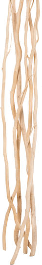 Getrocknete Weide Pflanze Ecru 170cm 5Stücke HomeMarkt