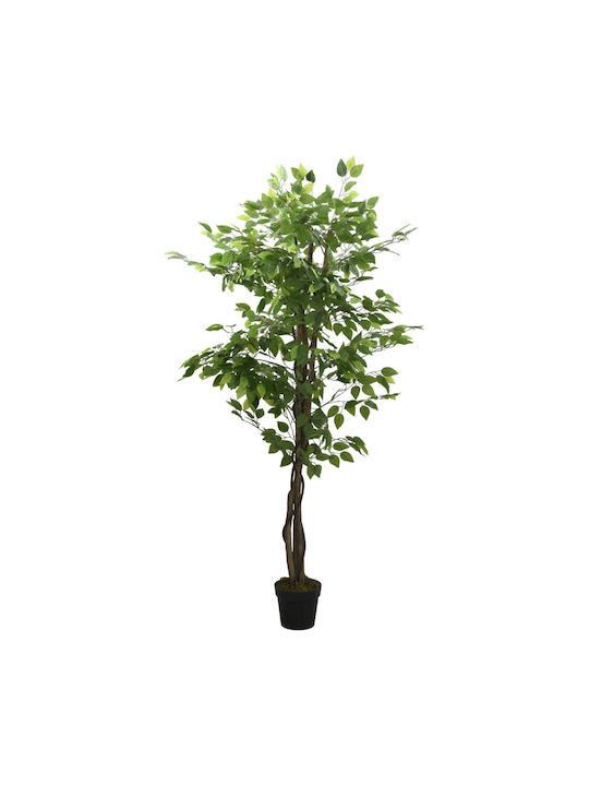 Bambus Für Außenbereich 120cm vidaXL