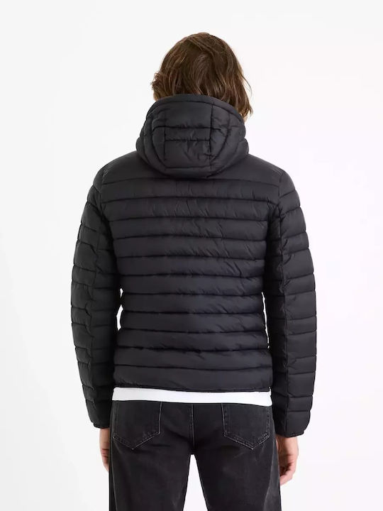 Celio Celio