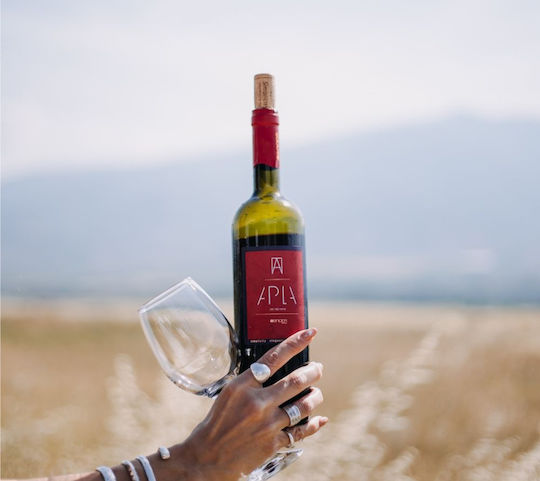 Oenops Wines Vin Apla Roșu Șampon Uscat 750ml