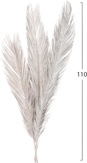 Dried Silver Palm Tree HomeMarkt Dried Silver Palm Tree HomeMarkt