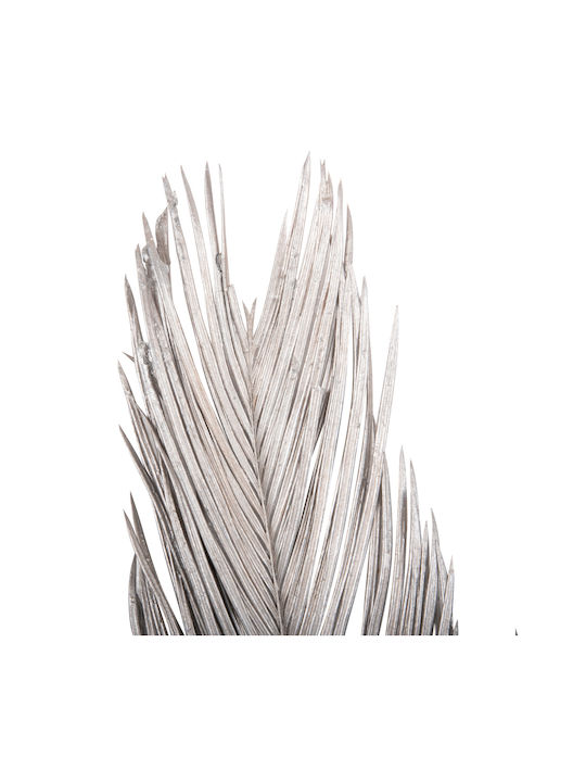 Getrocknete Pflanze Palme Silber HomeMarkt