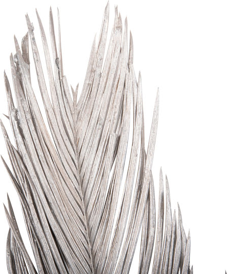 Getrocknete Pflanze Palme Silber HomeMarkt