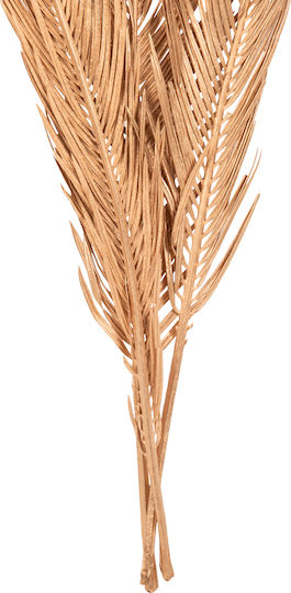 Plantă Uscată Palmier Auriu HomeMarkt