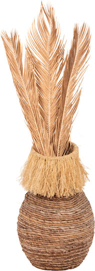 Plantă Uscată Palmier Auriu HomeMarkt