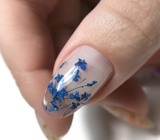 Kris Nails Nail Tips 27673