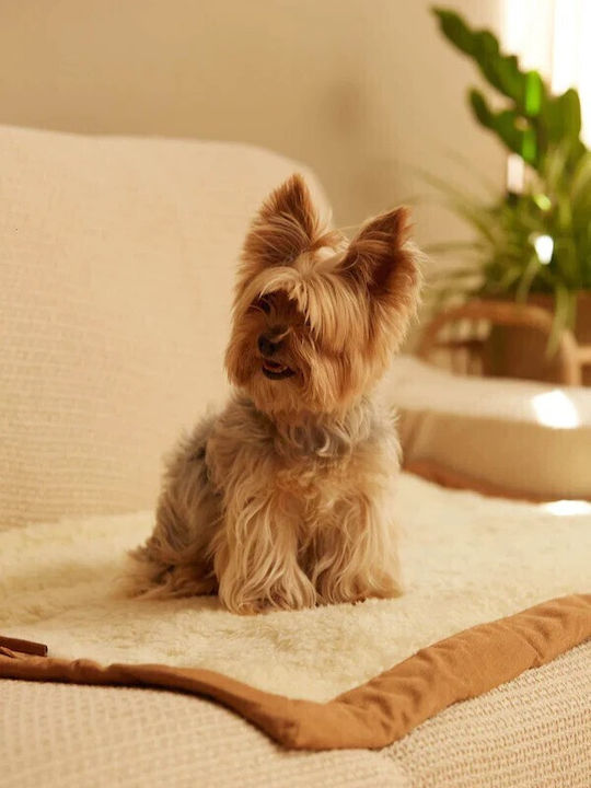 Calma House Rug Dog Beige 100x70cm