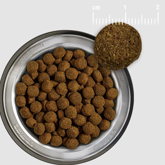 Belcando 1kg Dry Food Grain-Free for Adult Dogs with Poultry, Meat, Salmon, Beef, Potatoes, Fish and Liver
