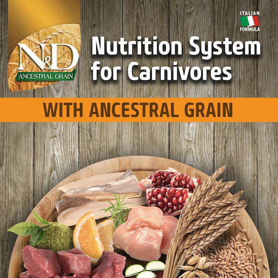 Farmina Ancestral Grain Chicken & Pomegranate Puppy Medium 12kg Dry Food with Few Grains for Medium Breed Puppies with Chicken and Pomegranate
