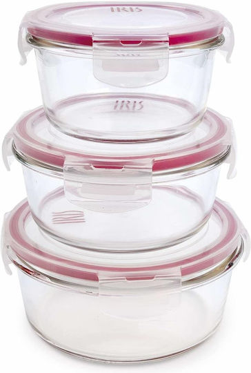 Iris Barcelona Lunchbox Glas Rosa 840ml 1Stück