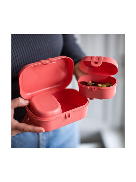 Koziol Plastic Lunch Box Orange 3pcs