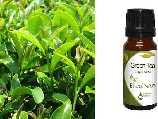 Nature & Body Aromatic Oil Tea Tree 10ml 1pcs