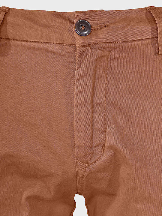 Hose Camel