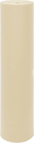 vidaXL 364860 Capac Antigel Țesătură 70gr/m² 1.6x50m Bej
