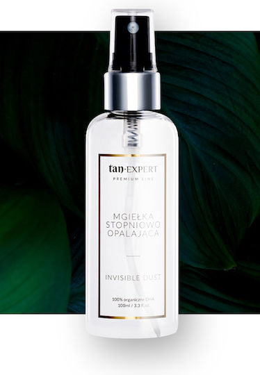 TanExpert Self Tanning Body 100ml