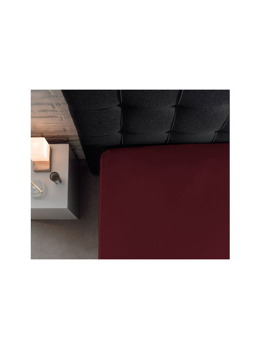 DreamHouse Cearșaf Super dublu cu Elastic 160x200+30cm. Bordeaux