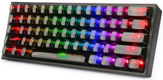 Redragon K617 FIZZ Gaming Mechanical Keyboard 60% with Custom switches and RGB lighting (English US) CTB