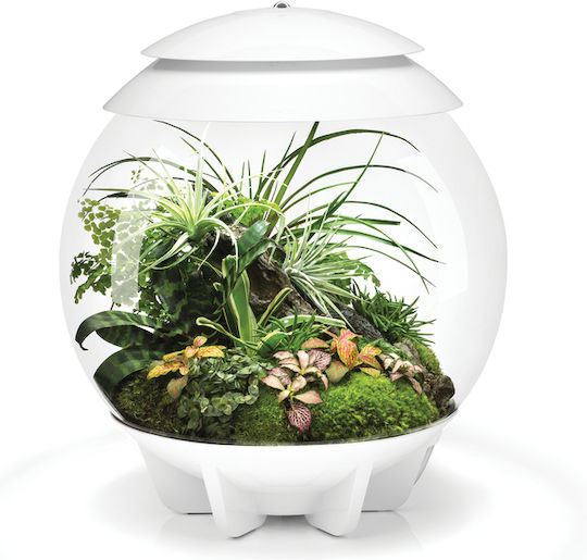 Oase Biorb Air Decorative Jar Garden 71748