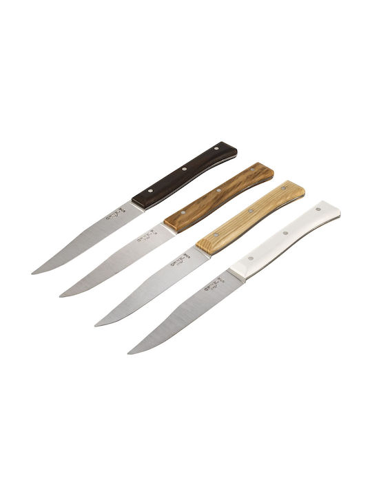 Opinel Facette Set Messer aus Edelstahl 002568 1Stück