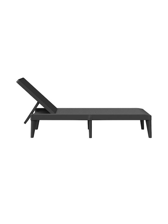 Liegestuhl Kunststoff Gray 186x60x29cm.