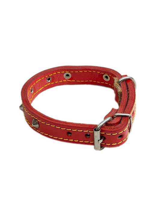 Dog Collar Leather in Red color