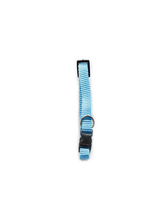 Hundehalsband in Blau Farbe 10mm