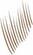 Maybelline Build-a-brow 2 Easy Steps Eyebrow Pe...