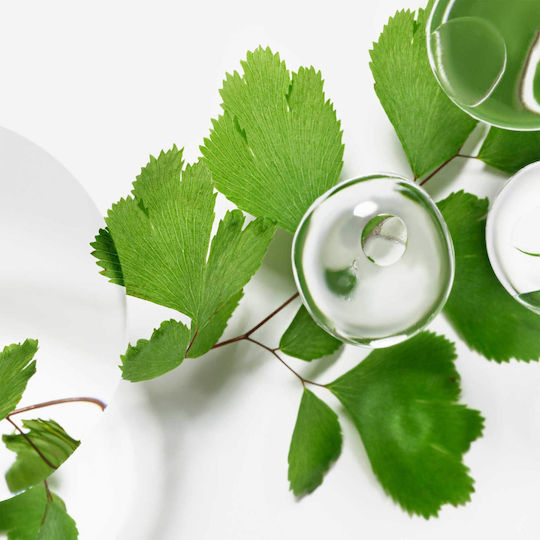 Sisley Paris Ecological Compound Ενυδατικό Γαλάκτωμα Προσώπου με Centella Asiatica 100ml