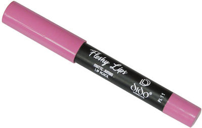 Dido Cosmetics Fleshy Lips Matte Jumbo Lip Pencil 11 2gr