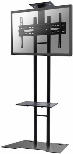 Newstar PLASMA-M1700ES Fernsehhalterung Boden bis 70" und 50kg