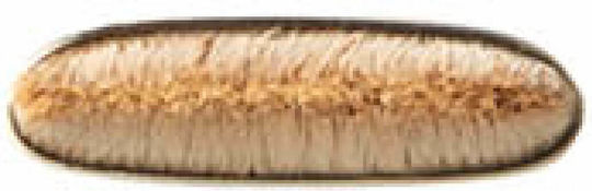 M.A.C Professionelles Make-up Pinsel Für Lidschatten Aus Synthetischer Borste 212 Flat Definer