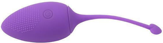 Chisa Novelties Sweety Teaser Rechargable Bullet Vibrator Ei mit Fernbedienung 14.5cm Purple