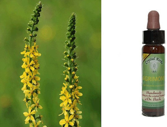 Crystal Herbs Αγριμόνιο Ανθοΐαμα σε Σταγόνες 10ml 1τμχ