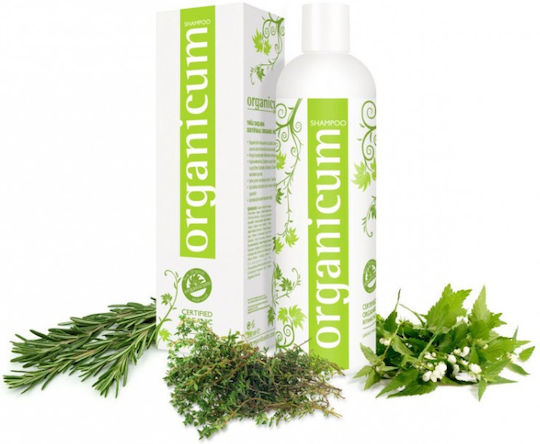 Organicum Шампоан срещу Себореен дерматит за Мазнинести Коси 350мл