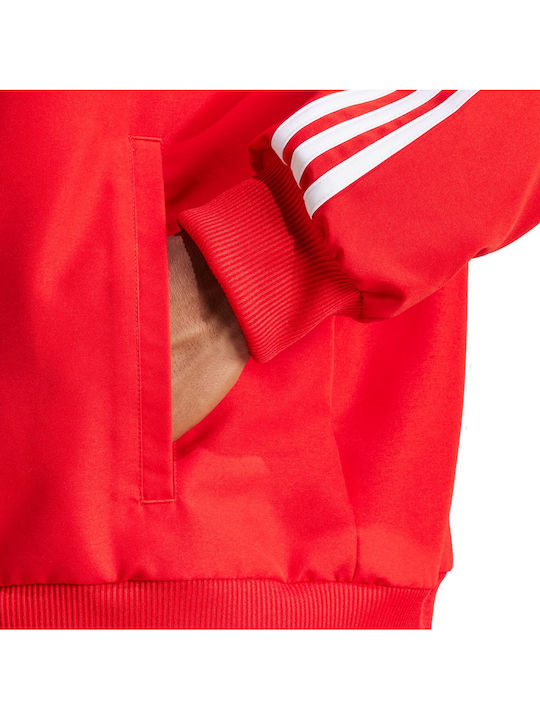 Woven Trainingsanzug Glänzend mit Gummizug Rot