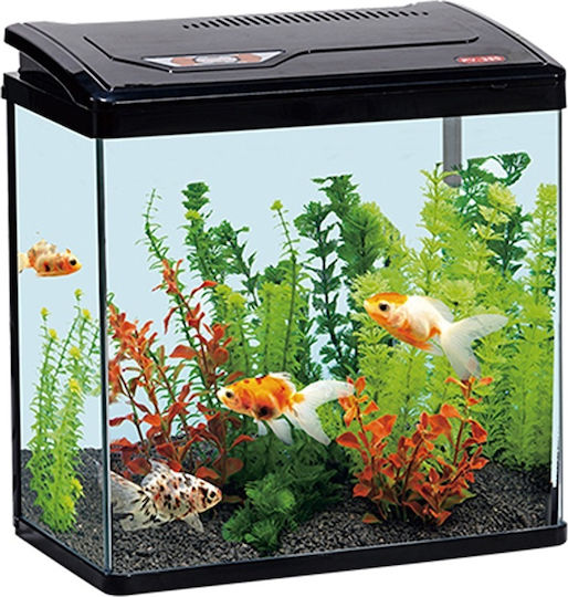 Led Fish Aquarium Capacity 61lt with Filter and 57x49x49cm Black