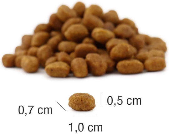 Platinum Pet Food & Care Katzenleckerlis mit Fisch für Erwachsene Katzen 400gr