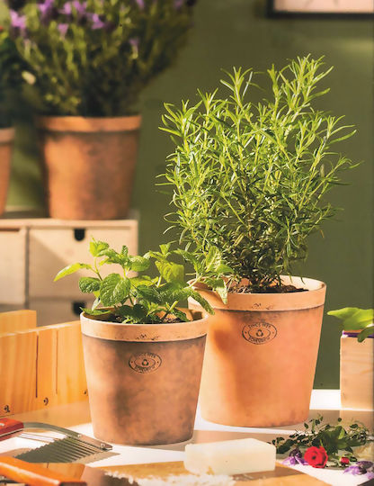 Kaspó Toscana Plant Pot Ceramic Black Kaspó Toscana Plant Pot Ceramic Black